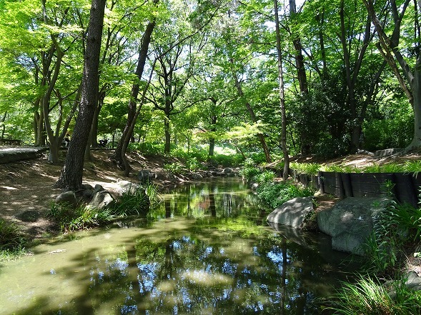 b0299042_12243009.jpg