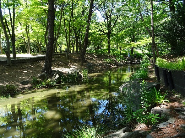 b0299042_12244776.jpg