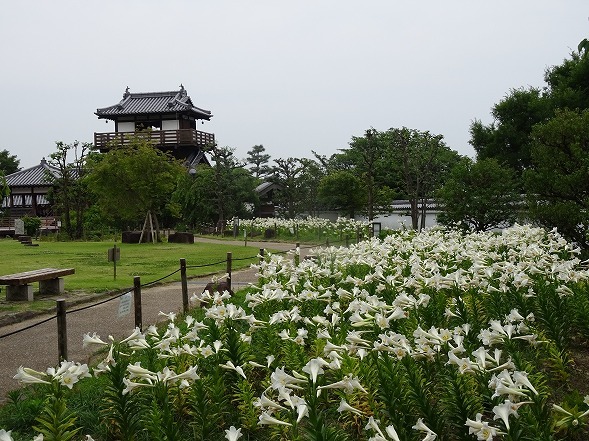 b0299042_12480905.jpg