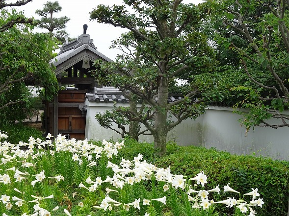 b0299042_12482779.jpg
