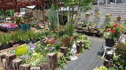 f0087347_641315.jpg