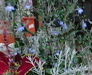 f0087347_7515063.jpg