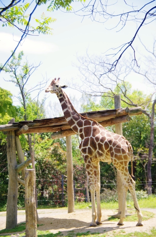 a0299749_22401981.jpg