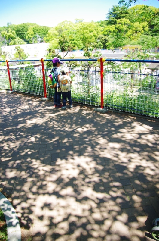 a0299749_22421585.jpg