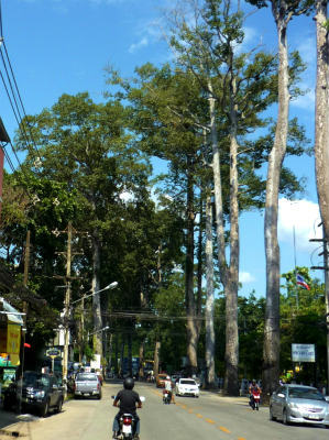 b0166749_22233878.jpg