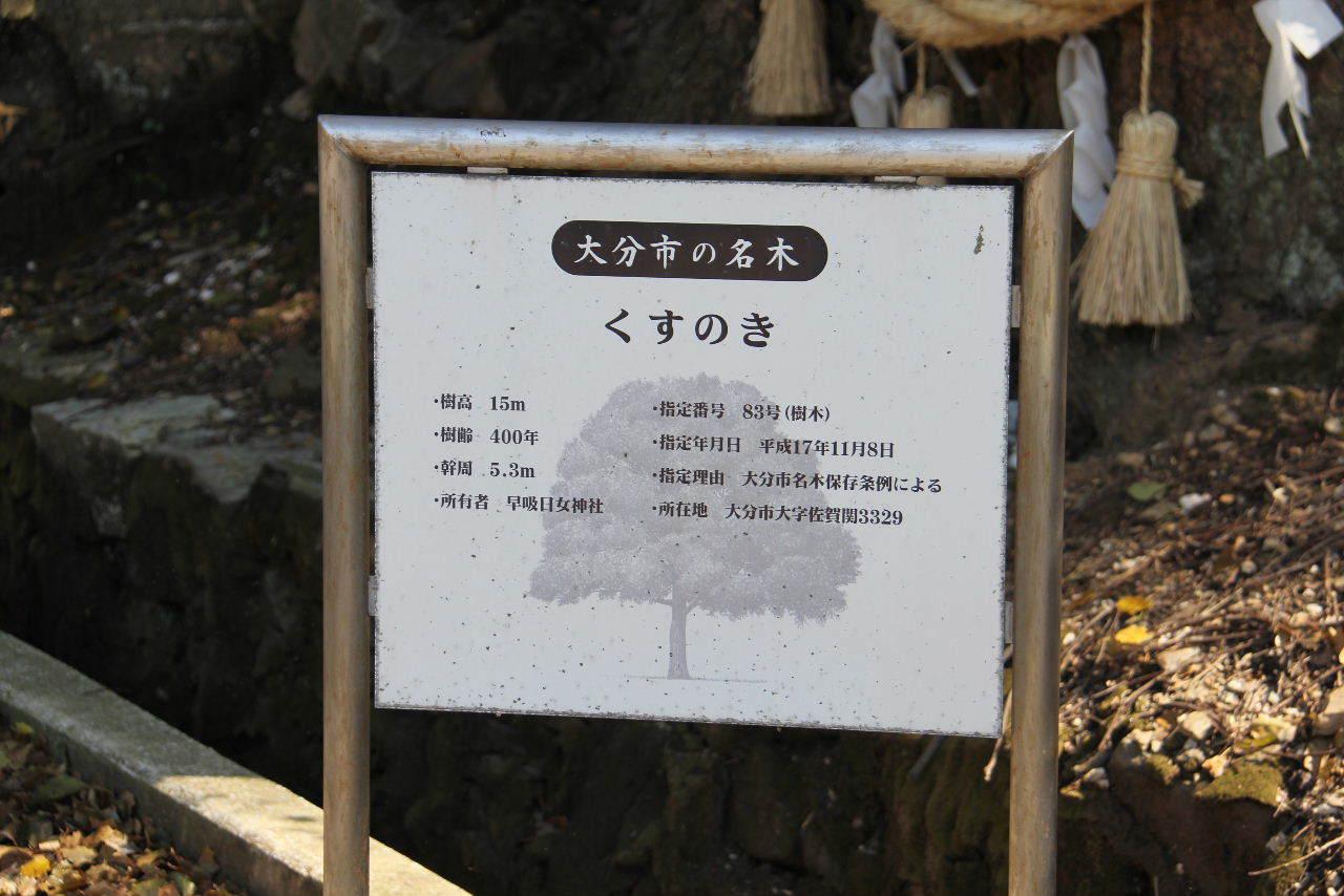 c0011649_11511165.jpg