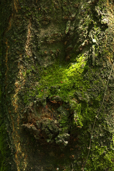 d0342652_15384969.jpg