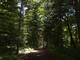e0004756_22130458.jpg