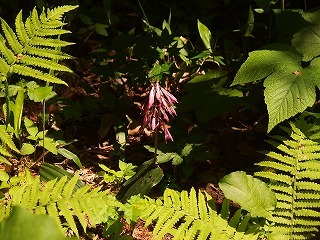 e0004756_22153651.jpg