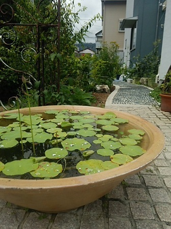 c0172261_22010974.jpg