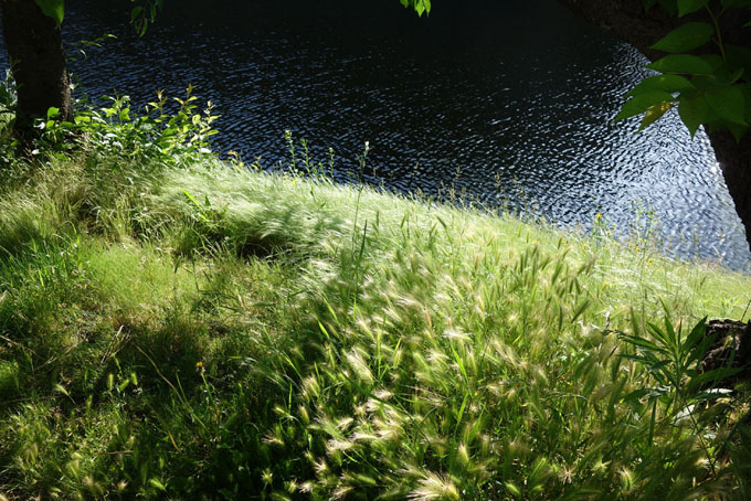 b0075364_10345312.jpg