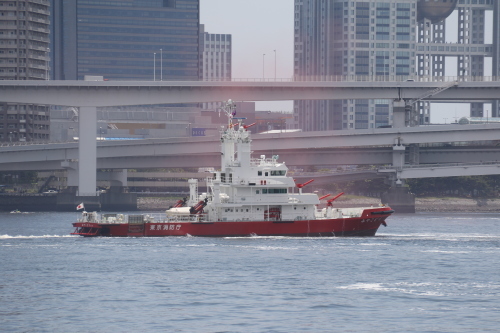 d0187275_19043799.jpg