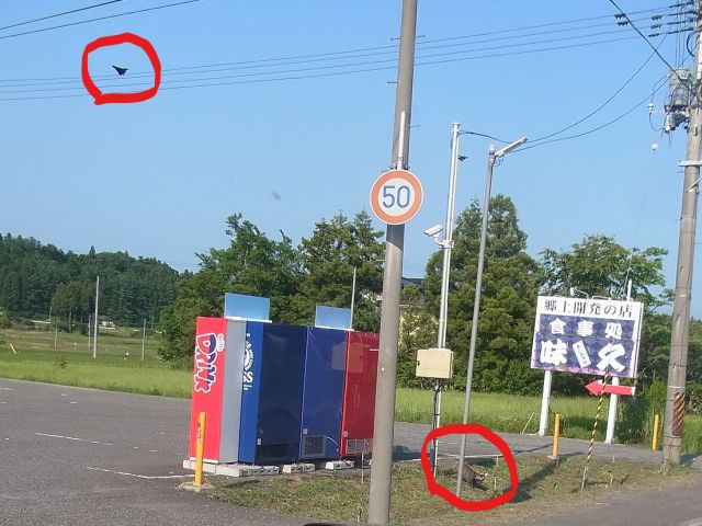 e0148077_11453280.jpg