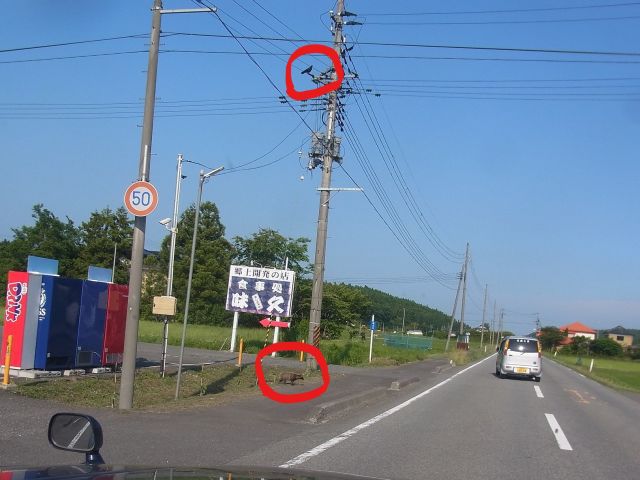 e0148077_11473036.jpg