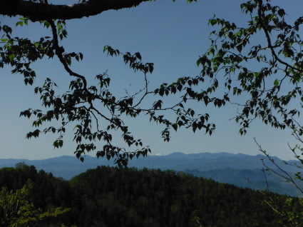 e0050579_12103918.jpg
