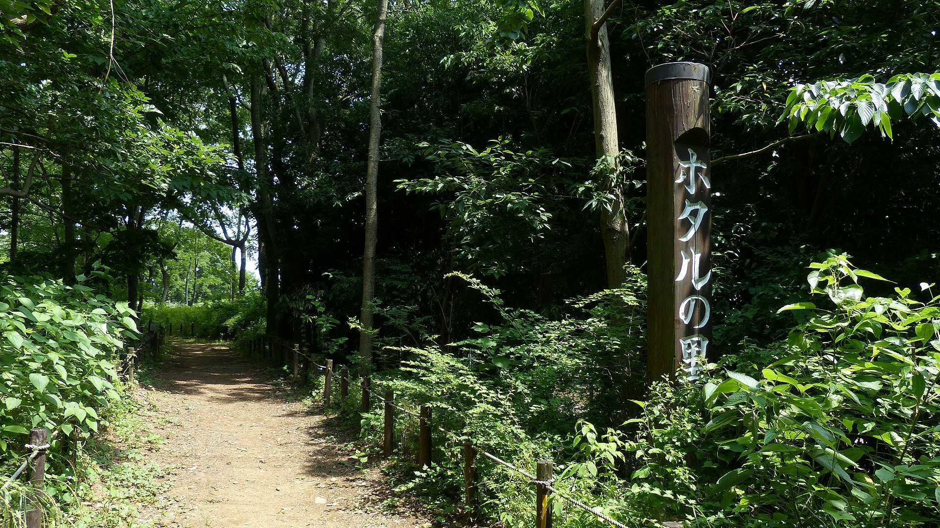 a0185081_16573236.jpg
