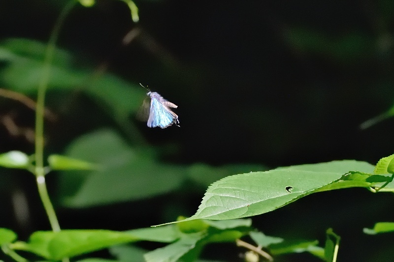 f0031682_15065275.jpg