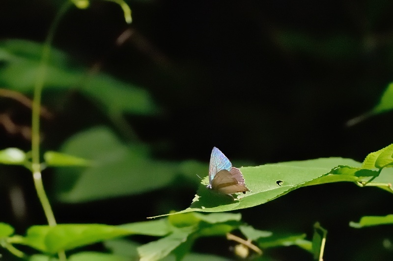 f0031682_15065333.jpg