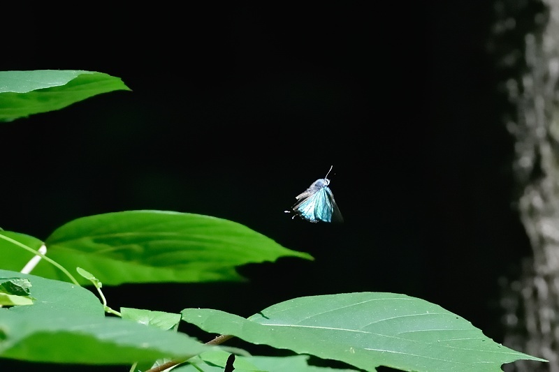 f0031682_15065391.jpg