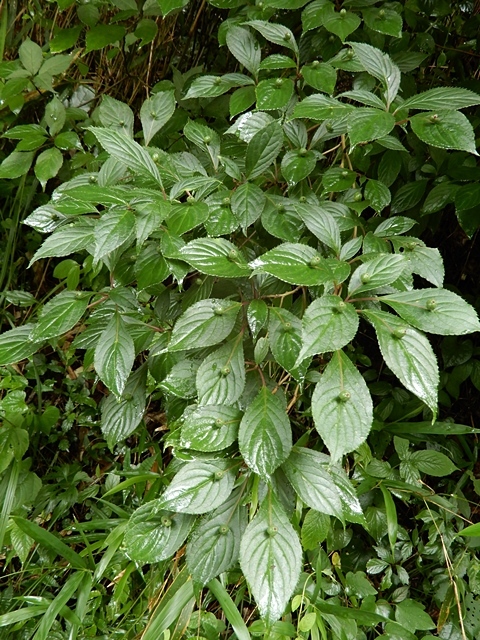 f0357487_16290047.jpg