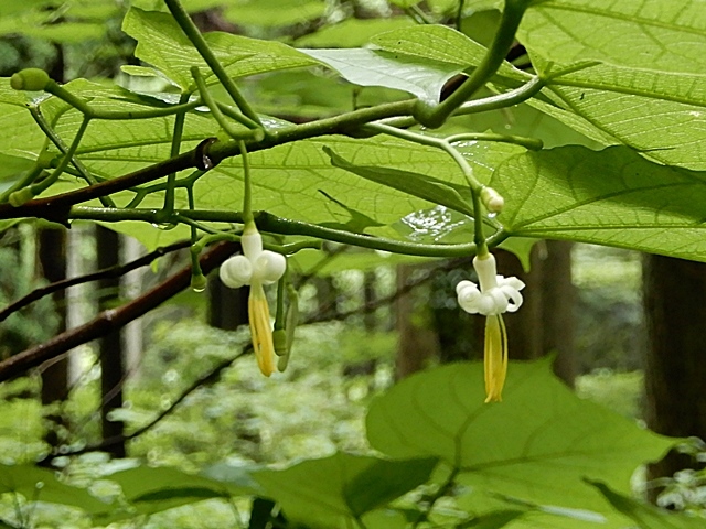 f0357487_16310779.jpg