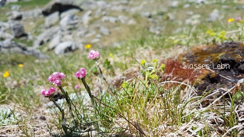 e0088895_17341636.jpg