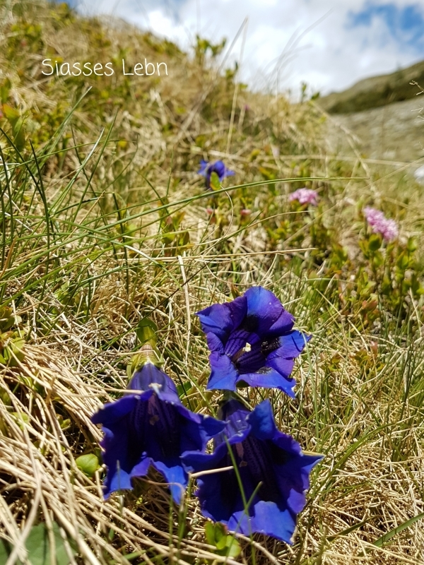 e0088895_17344510.jpg