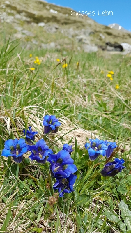 e0088895_17412527.jpg