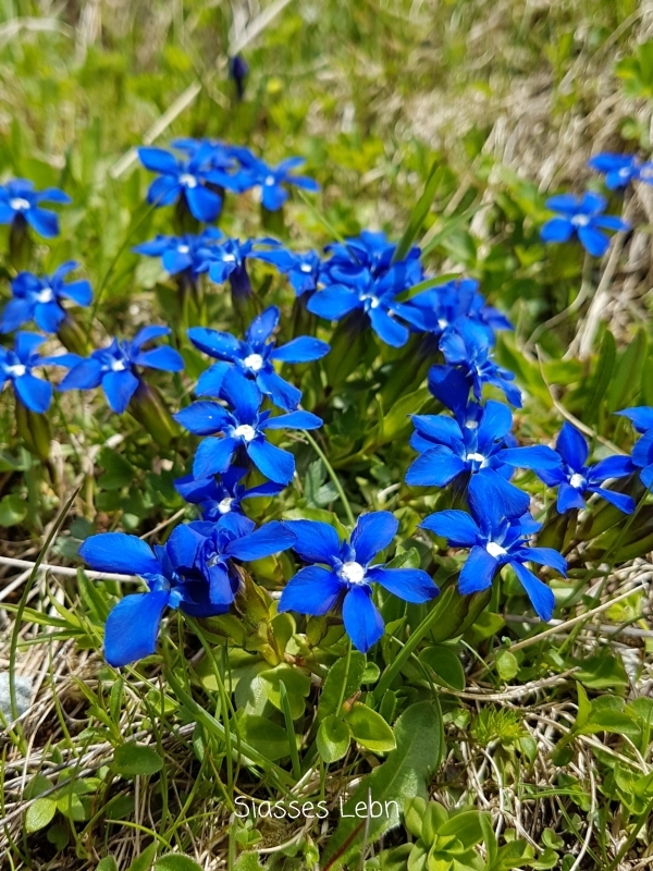 e0088895_18000930.jpg