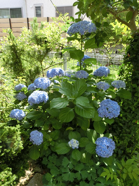 e0131399_0272891.jpg