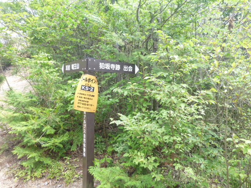 d0170615_19300761.jpg