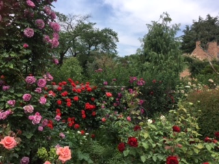 c0152816_21354437.jpg
