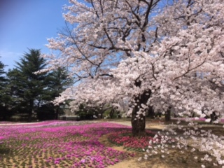 c0152816_2135447.jpg