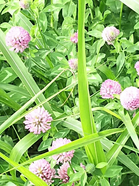 f0235318_16251652.jpg