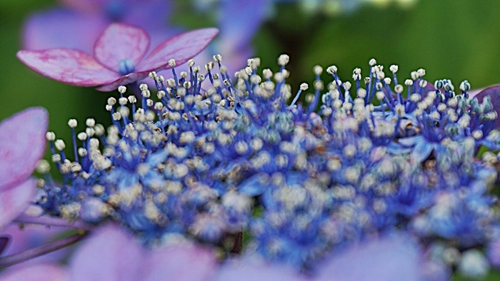 b0068423_16034313.jpg