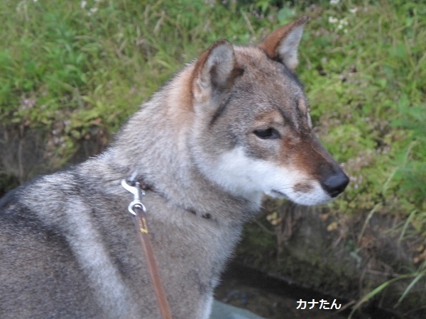 f0143123_09504853.jpg