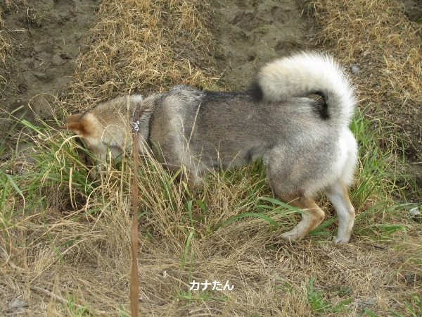 f0143123_09505670.jpg