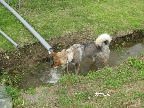 f0143123_09510582.jpg