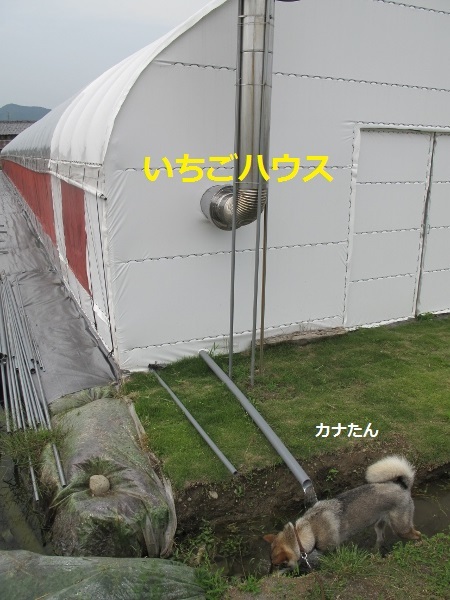 f0143123_09513657.jpg