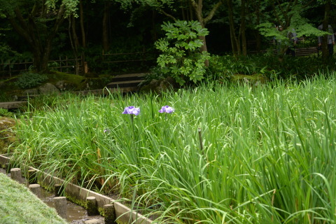 e0335926_22435217.jpg