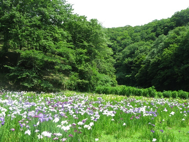 d0333943_08251327.jpg