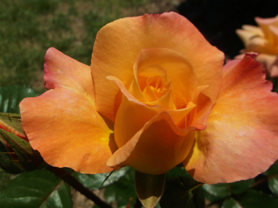 c0006745_05325683.jpg
