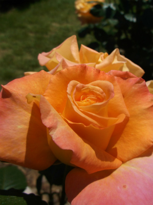c0006745_05330941.jpg