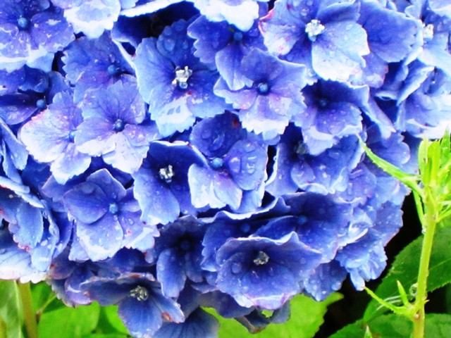 b0289649_21593965.jpg