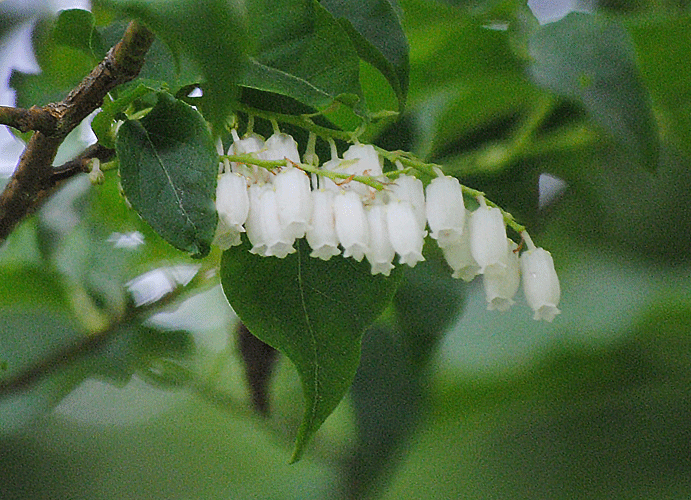 a0001354_22371504.gif