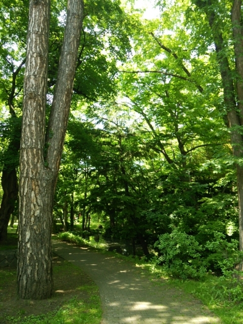 e0047657_13243584.jpg