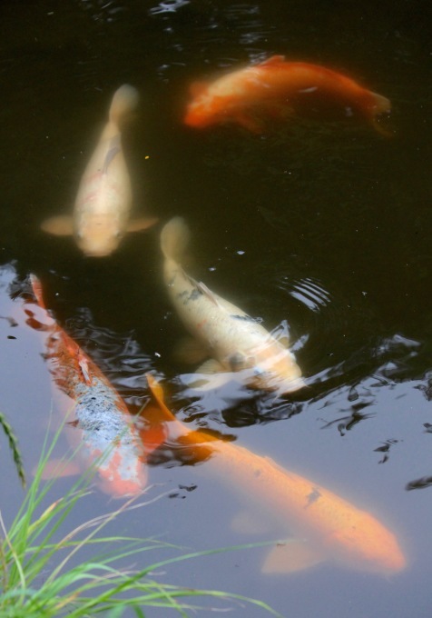 a0248459_14092773.jpg