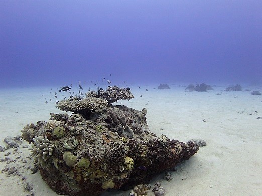 e0132965_20151967.jpg