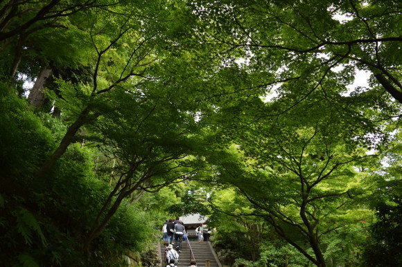 b0242873_00252926.jpg