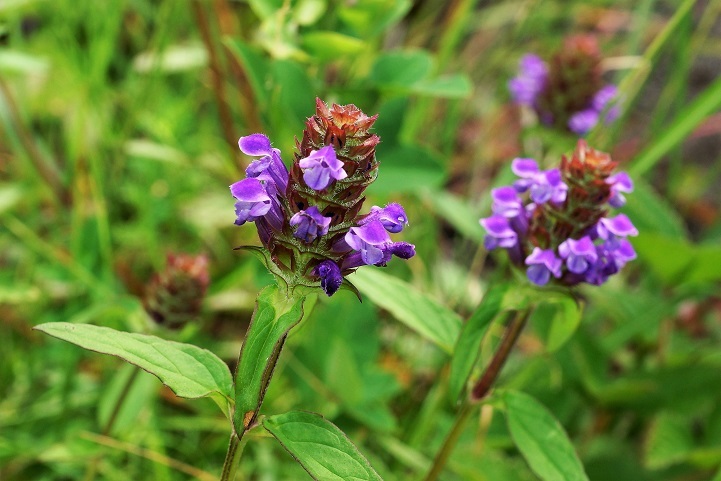 c0248473_16553040.jpg